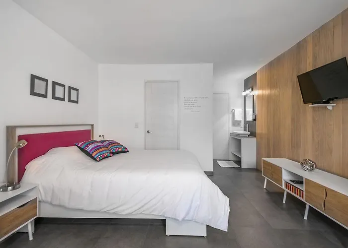 Juub Colorful, Studio In New Polanco District